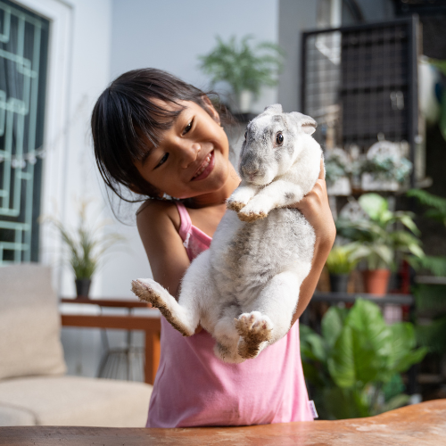 A small girl holding a pet rabbit.