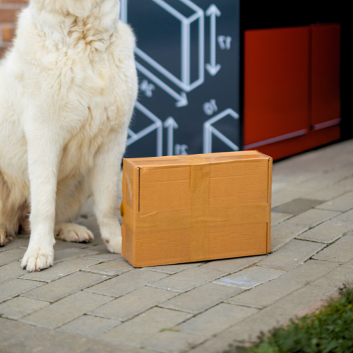 A card board box sat on the ground next to a large dog.